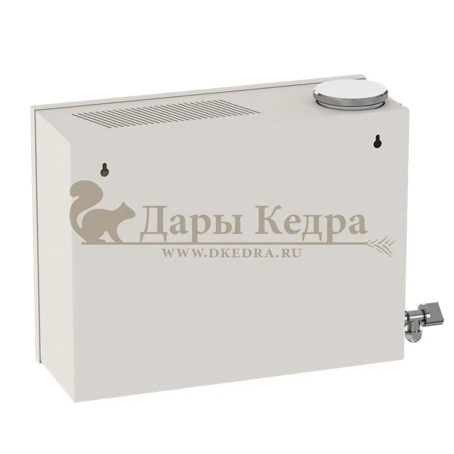 Парогенератор проточный, 4 кВт с выносным цифровым пультом управления